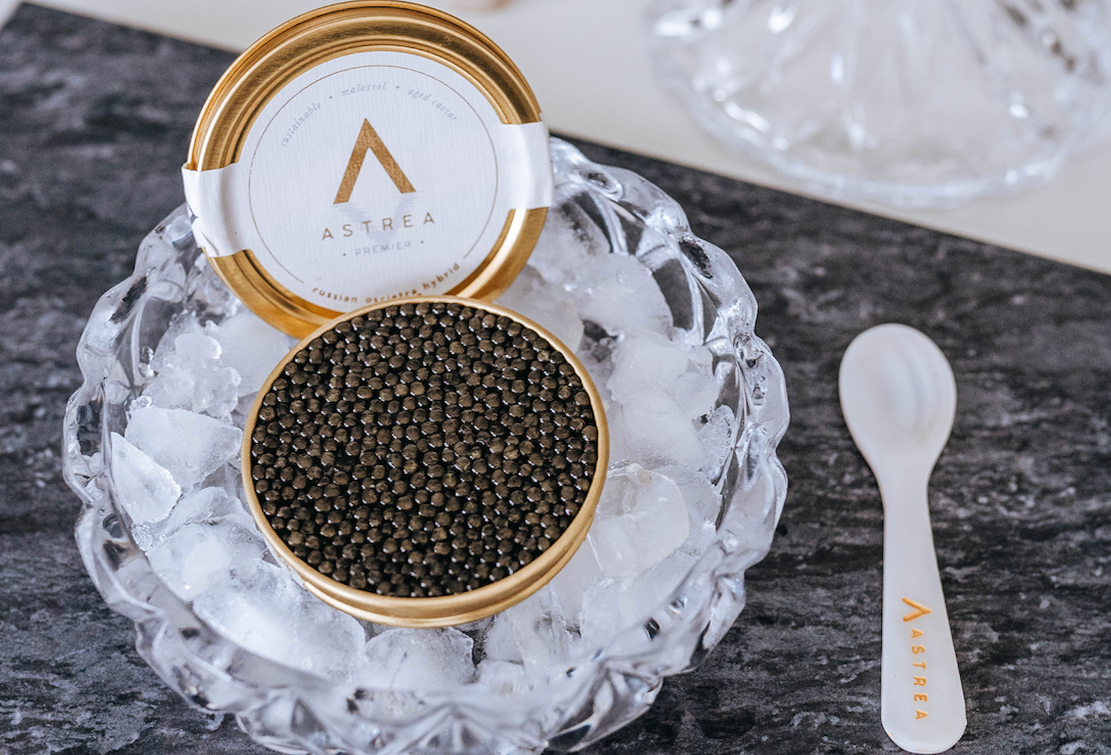 Astrea Premier Selection Oscietra Hybrid – FATTYCOW